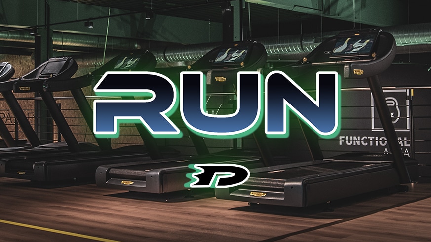 Run – A Danny Phantom Story