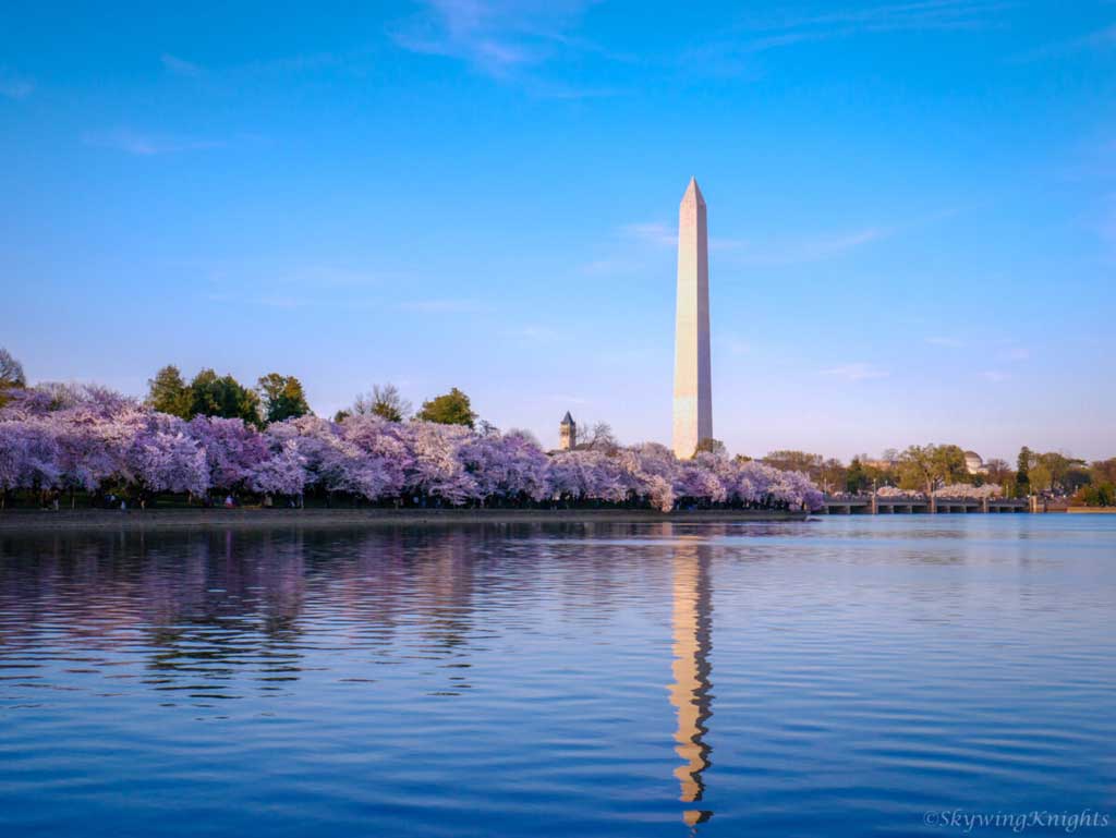 Fun at the DC Sakura Matsuri 2019 SkywingKnights