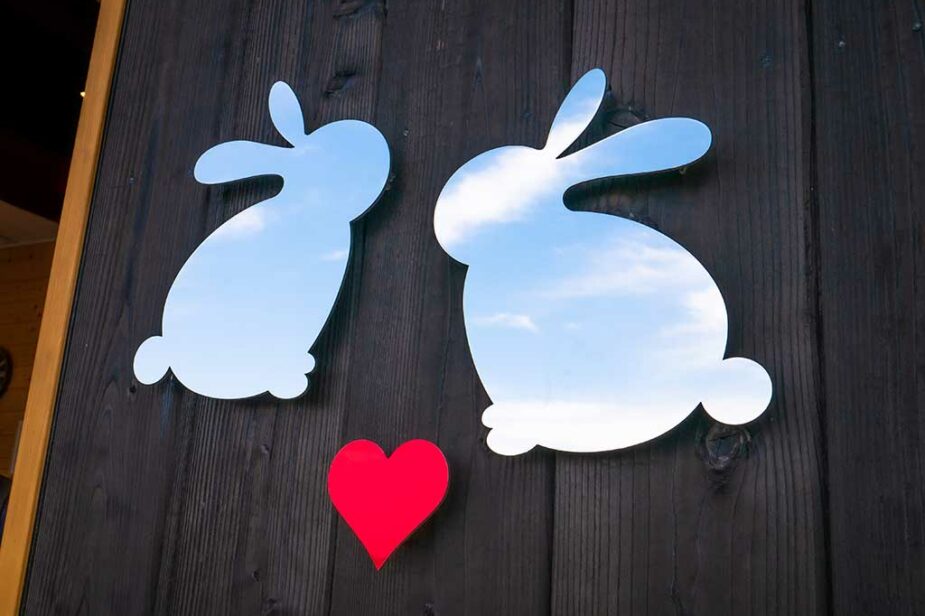 Bunny Love