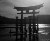 Miyajima Black and White