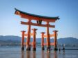 Miyajima Otorii Low Tide 1