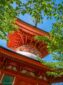 Miyajima - Towards the Sky