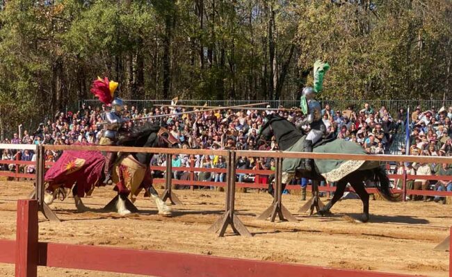 Carolina Renaissance-Festival Blog Cover Image