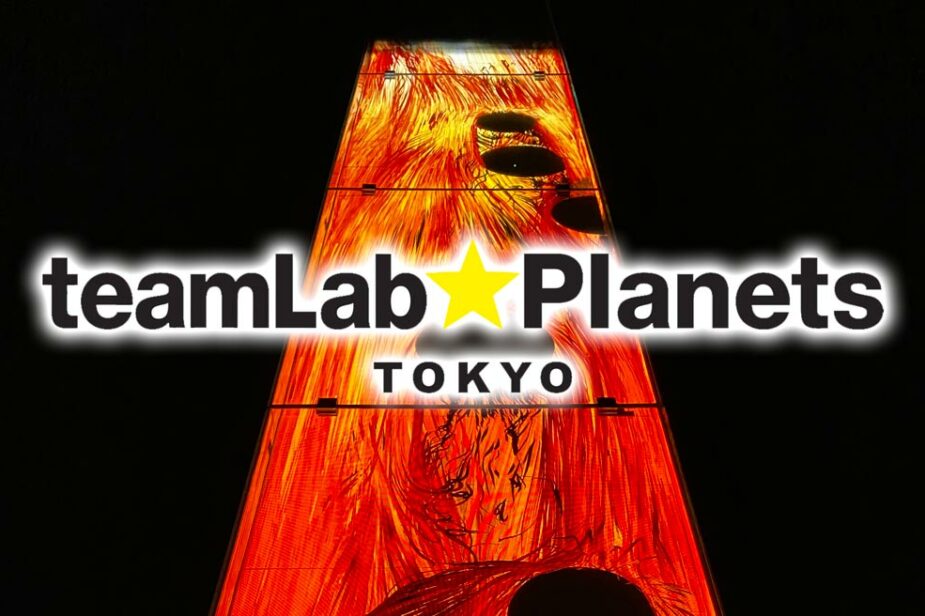 TeamLab Planets Tokyo Blog Cover Image