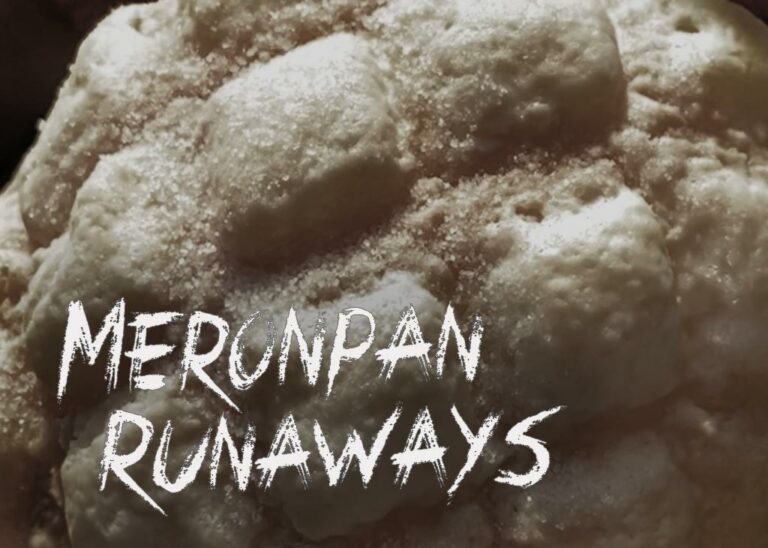 Meronpan-Runaways-Blog-Cover Meronpan Runaways Blog Cover Image