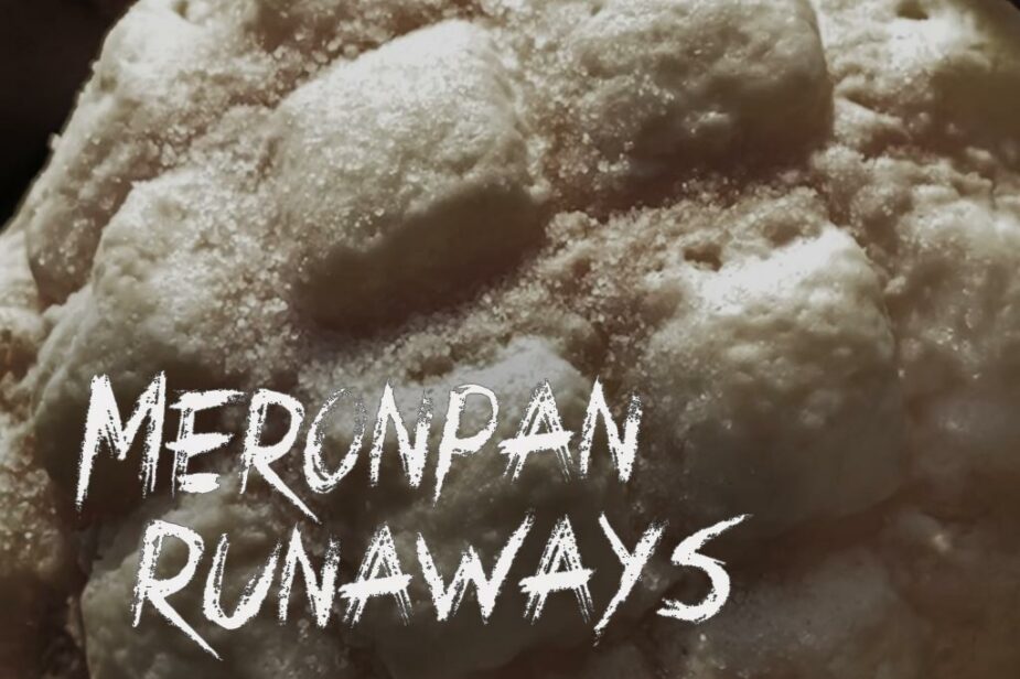 Meronpan Runaways Blog Cover Image