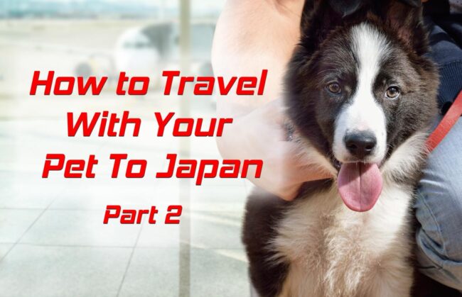 How-to-bring-your-pet-to-Japan-Part-1-Blog-Cover-Image-pt2